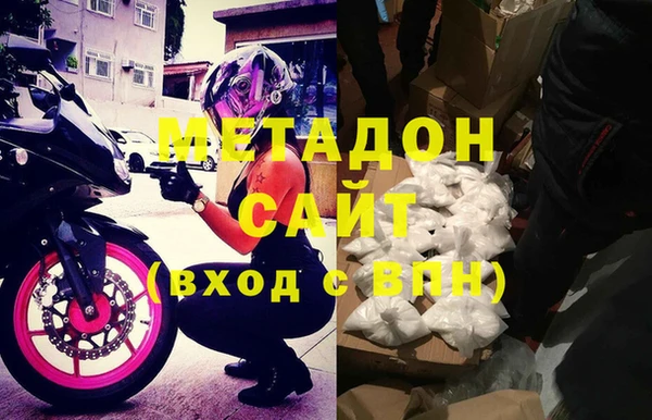 прущие грибы Абаза