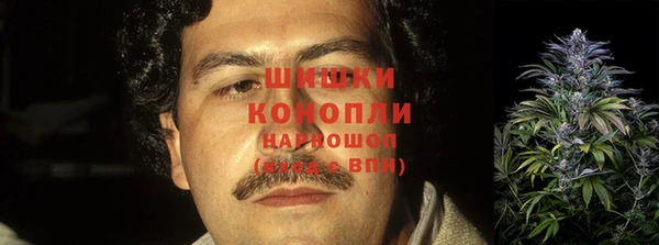 метадон Алексин