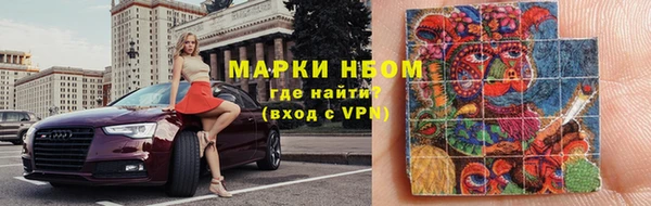 прущие грибы Абаза