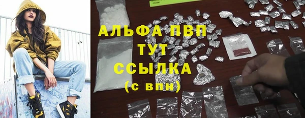 метадон Алексин