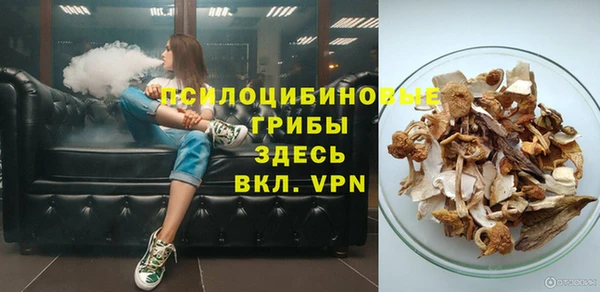 a pvp Алзамай