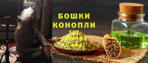 прущие грибы Абаза