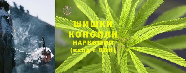 прущие грибы Абаза